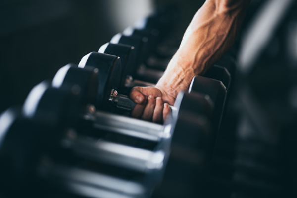 dumbbell rack