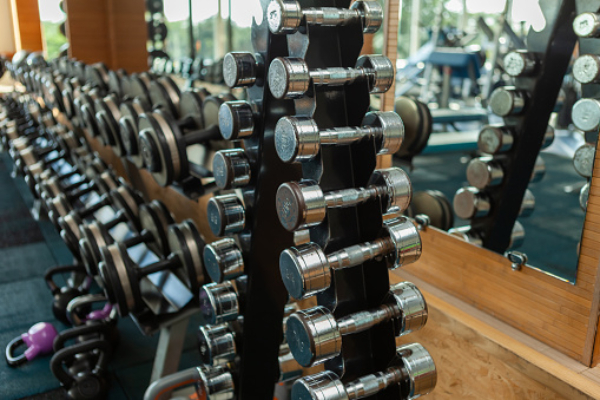 dumbbell rack