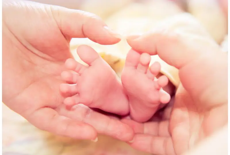 Egg donation san diego